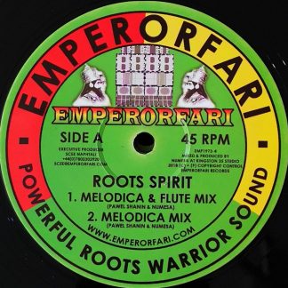 ”ROOTS SPIRIT” is a deep roots melody with emphasis on guitar & melodica pieces. Strong, uplifting & positive vibes.