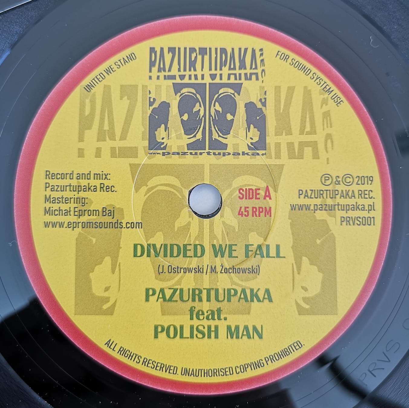 NEW 7" VINYL DIVIDED WE FALL - PAZURTUPAKA