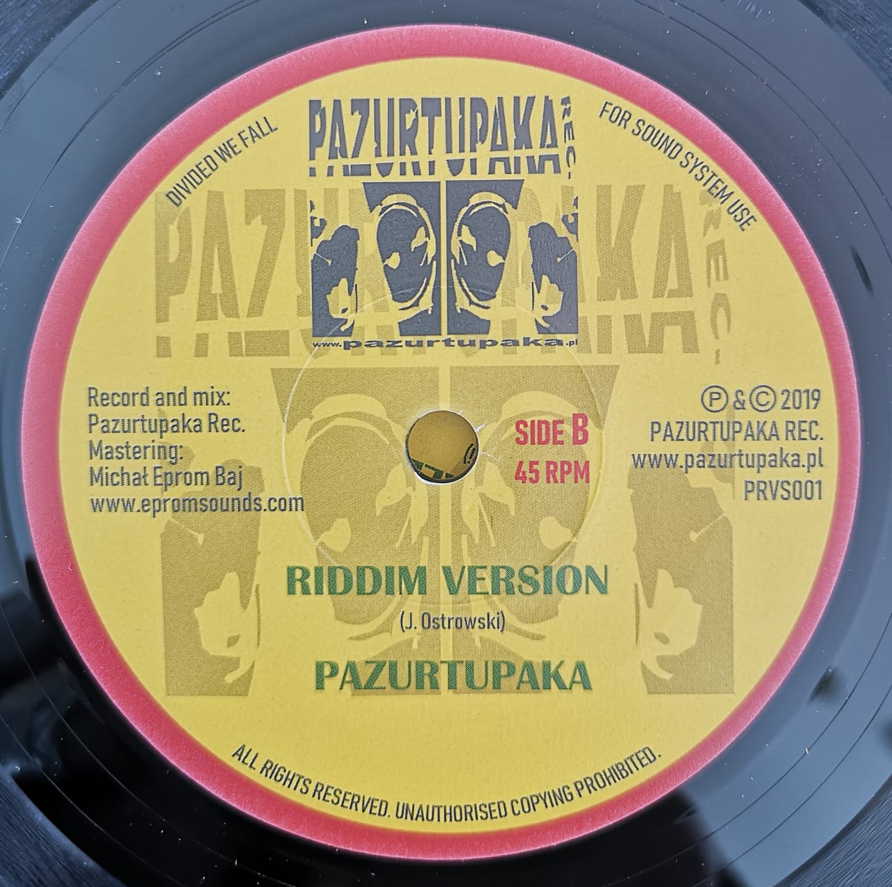 NEW 7" VINYL DIVIDED WE FALL - PAZURTUPAKA - Image 6