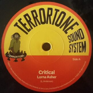 💥🔥💥 BRAND NEW 7" VINYL TERROTONE RECORDS "CRITICAL" CHANNEL ONE SOUND ANTHEM BIG TUNE!