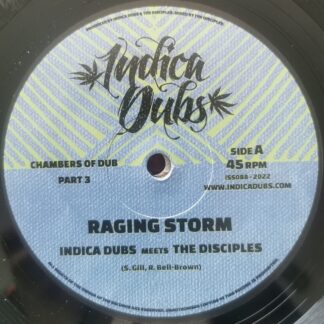 💥🔥💥 BRAND NEW IN-STOCK INDICA DUBS 10″ VINYL RECORD “RAGING STORM / 8 CHAMBERS” MASSIVE TUNE! FROM THE CHAMBERS OF DUB SERIES