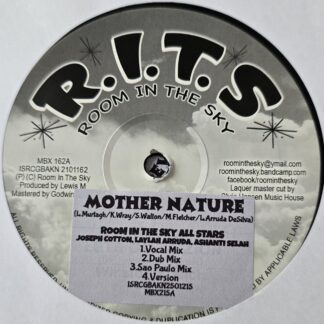 💥🔥💥 BRAND NEW IN STOCK 12" VINYL RECORD ROOM IN THE SKY "MOTHER NATURE / EVER BLESS" BIG RELEASE!